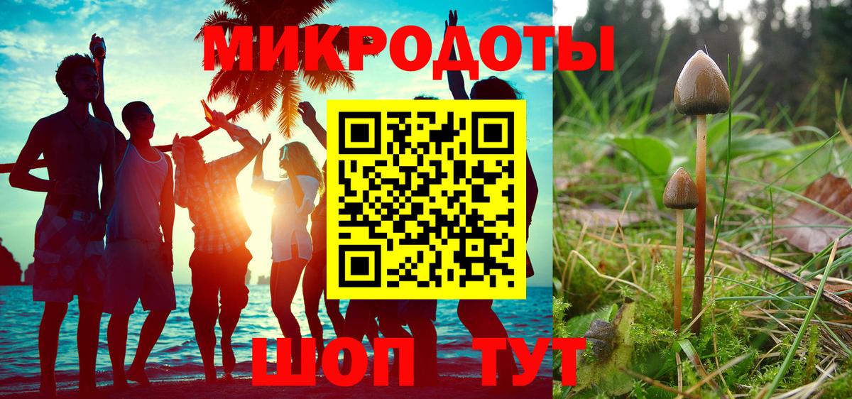 Галлюциногенные грибы MAGIC MUSHROOMS Тимашёвск