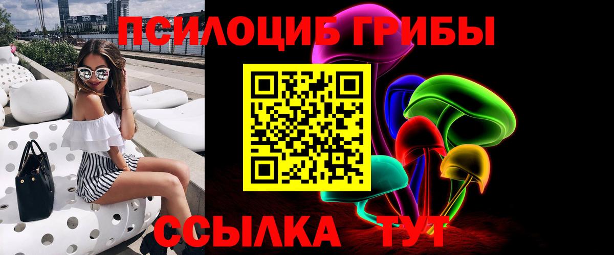 Тимашёвск  Галлюциногенные грибы Psilocybine cubensis  где продают   Вход с VPN 